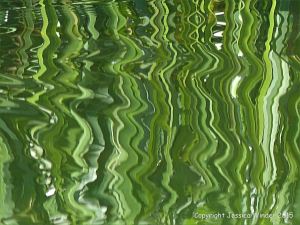 Natural abstract image of reeds reflected in water
