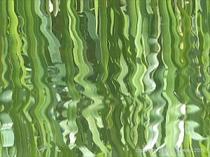 Natural abstract image of reeds reflected in water