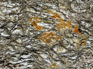 Icart Gneiss rock texture