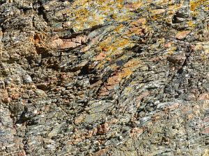 Icart Gneiss rock texture