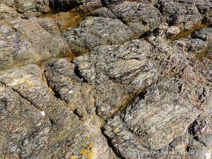 Icart Gneiss rock texture