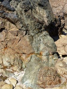 Contrasting rock textures at Moulin Huet Bay