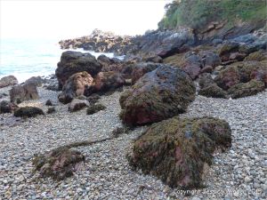 Boulders on the beach at Marble Bay