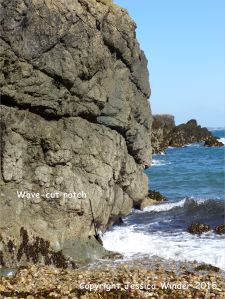 Wave-cut notch at the base of cliffs in Marble Bay