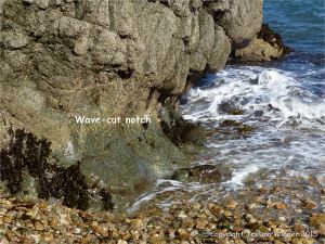 Wave-cut notch at the base of cliffs in Marble Bay