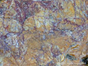 Vein quartz with coloured biofilms