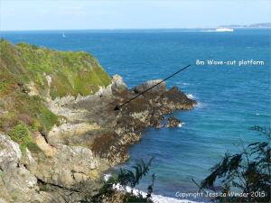 Wave-cut platform at Marble Bay