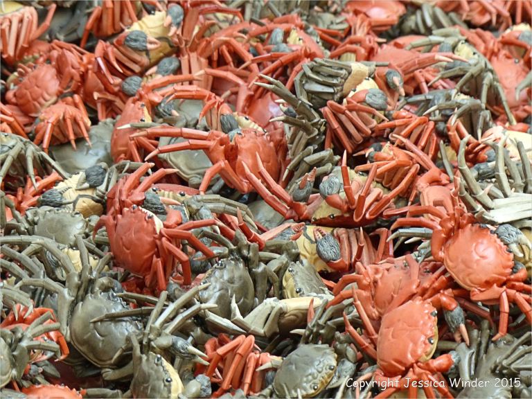 Ai Weiwei porcelain river crab installation He Xie at the Royal Academy of Arts in London