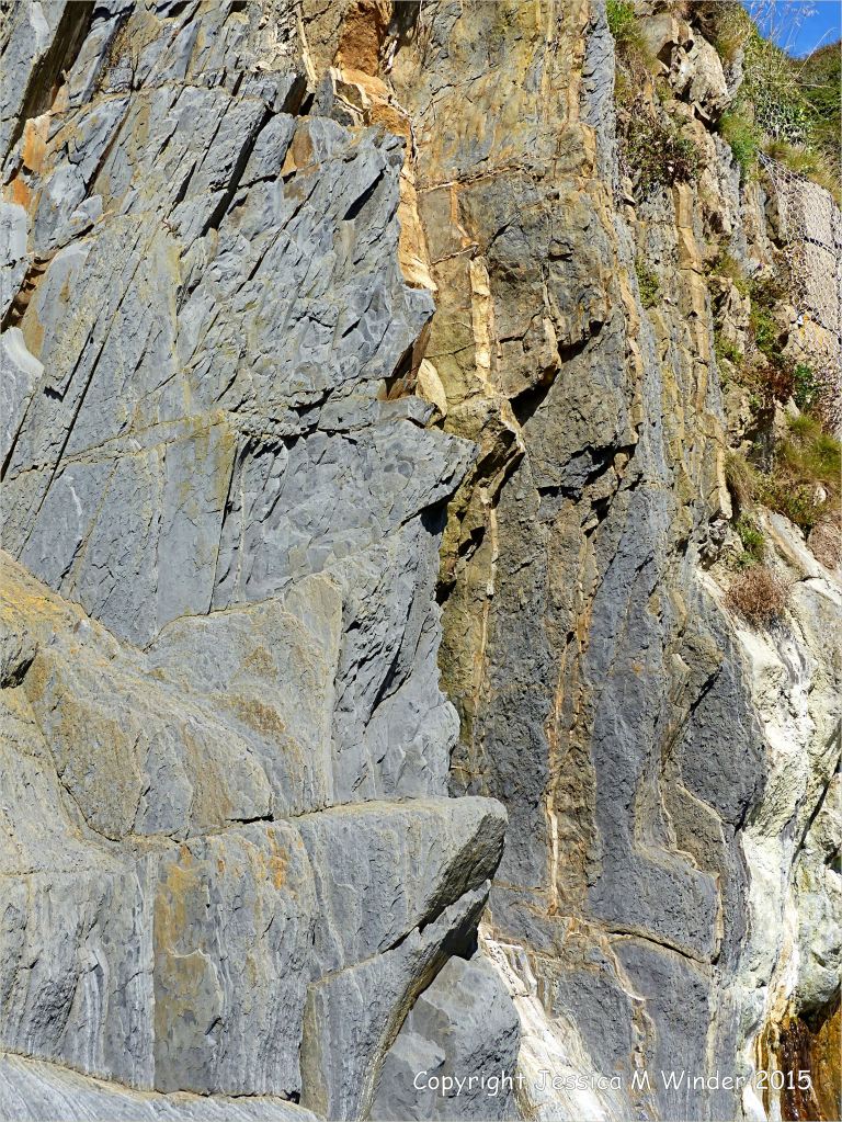 Close-up detail of vertical Carboniferous Avon Group limestone rock strata strata on the seashore at Church Doors on the South Pembrokeshire Coast in Wales