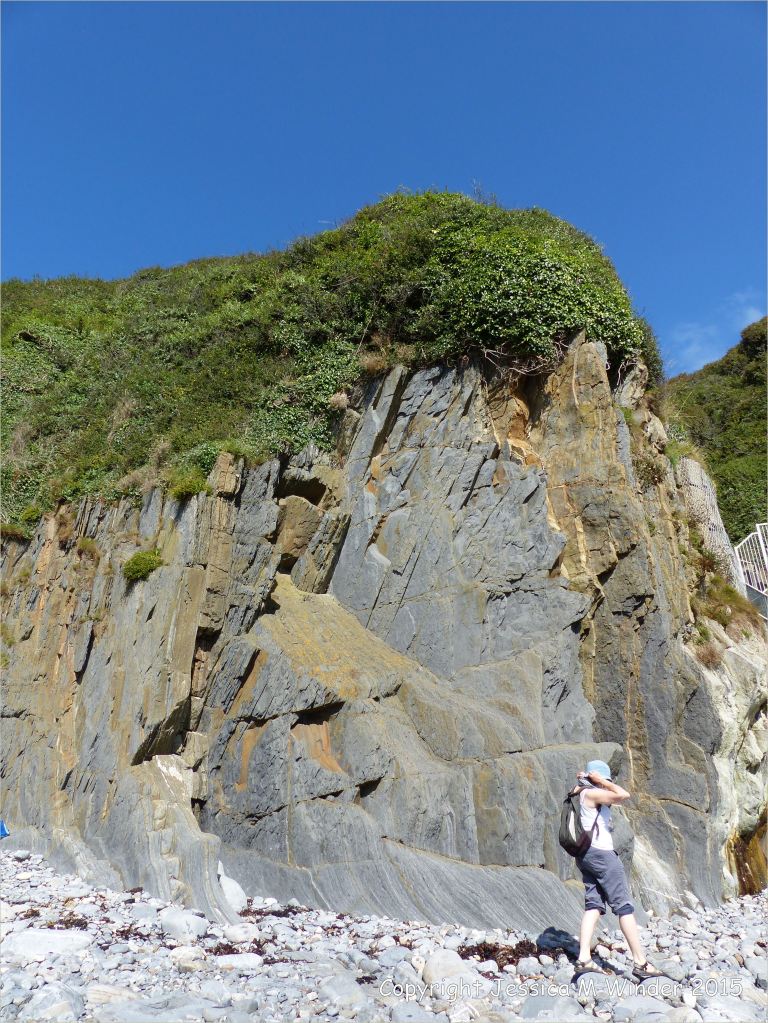 Vertical Carboniferous Avon Group limestone rock strata on the seashore at Church Doors on the South Pembrokeshire Coast in Wales