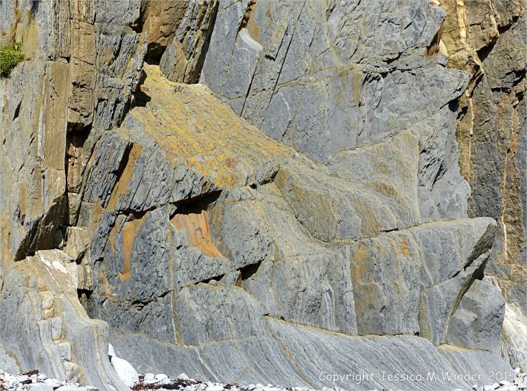 Close-up detail of Carboniferous Avon Group limestone rock strata on the seashore at Church Doors on the South Pembrokeshire Coast in Wales