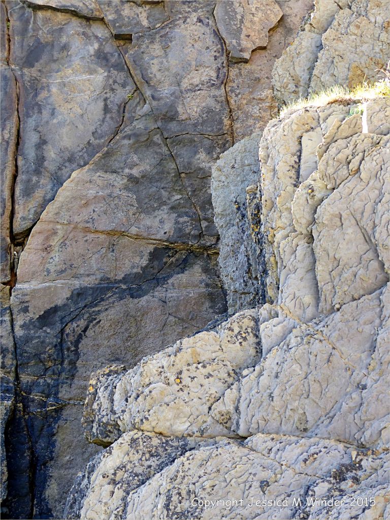 Close-up detail of Carboniferous Avon Group limestone rock strata on the seashore at Church Doors on the South Pembrokeshire Coast in Wales