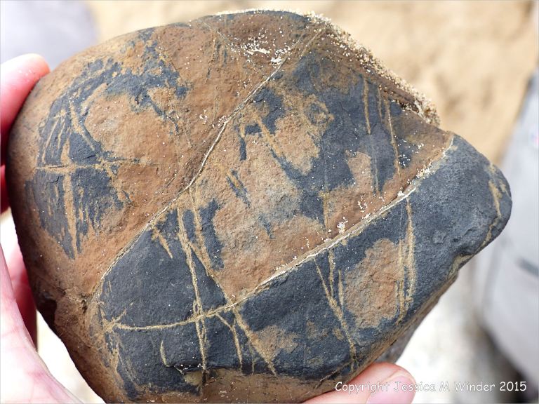 A beach stone made of iron on the Gower Peninsula in South Wales