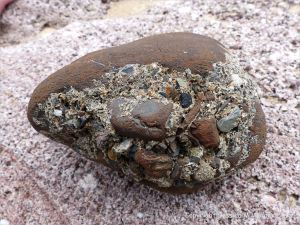 A beach stone made of iron on the Gower Peninsula in South Wales