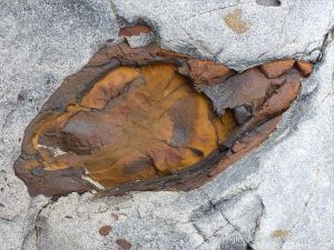 Detail of iron in a Gower beach stone