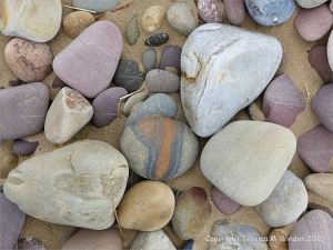 Pebbles on the upper shore of a Gower Peninsula beach in South Wales
