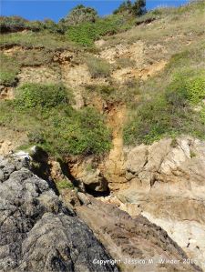 Lamprophyre dyke cutting through Icart Gneiss at Moulin Huet Bay