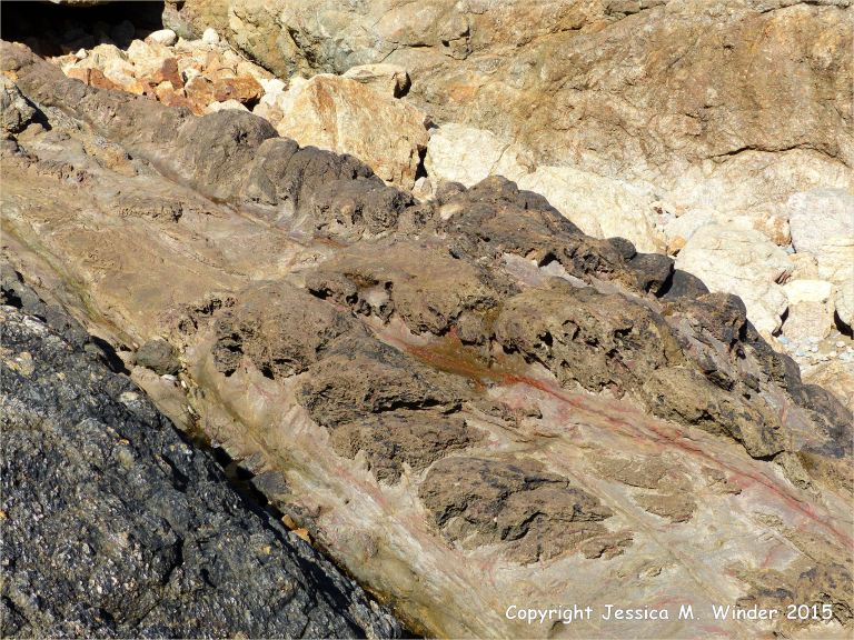 Strange natural textures in the weathering top surface of a lamprophyre dyke cutting through Icart Gneiss