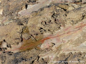 Strange natural textures in the weathering top surface of a lamprophyre dyke