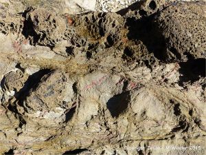 Strange natural textures in the weathering top surface of a lamprophyre dyke