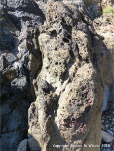 Strange natural textures in the weathering top surface of a lamprophyre dyke