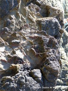 Strange natural textures in the weathering top surface of a lamprophyre dyke