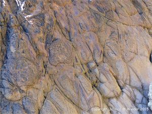 Strange natural textures in the weathering near vertical side surface of a lamprophyre dyke