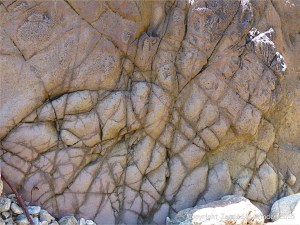 Strange natural textures in the weathering near vertical side surface of a lamprophyre dyke