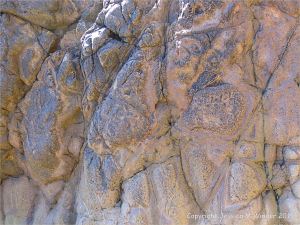 Strange natural textures in the weathering near vertical side surface of a lamprophyre dyke