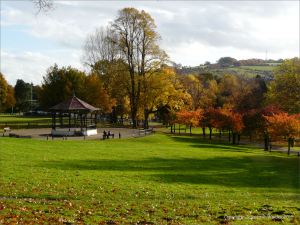Autumn colours in Pontypool Park, South Wales