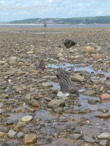 View looking towards the lighthouse at Whiteford on the Gower Peninsula showing rock strewn beach