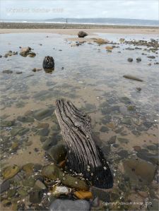 View looking towards Whiteford lighthouse across a beach strewn with stones and old timbers