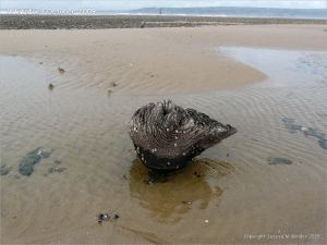 View looking towards the lighthouse at Whiteford on the Gower Peninsula showing the area mostly covered by sand