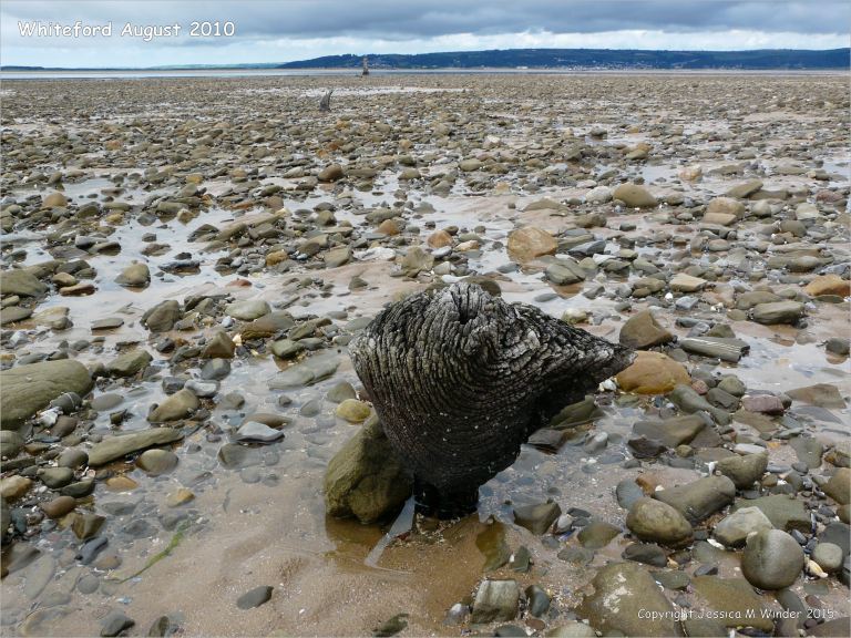 View looking towards the lighthouse at Whiteford on the Gower Peninsula showing rock strewn beach with patches of sand