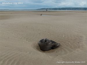 View looking towards the lighthouse at Whiteford on the Gower Peninsula showing the entire area covered by sand
