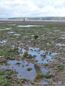 View looking towards the lighthouse at Whiteford on the Gower Peninsula showing rock strewn beach
