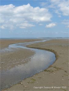 Beach stream cutting through thick layers of marine worm sand tubes (context shot)