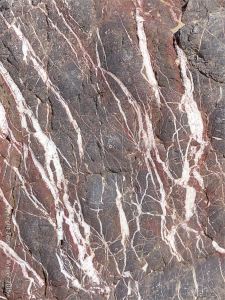 Close-up of the natural pattern of calcite veins in Carboniferous limestone at Threecliff Bay, Gower