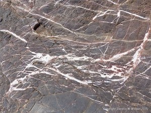 Close-up of the natural pattern of calcite veins in Carboniferous limestone at Threecliff Bay, Gower