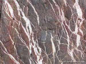 Close-up of the natural pattern of calcite veins in Carboniferous limestone at Threecliff Bay, Gower