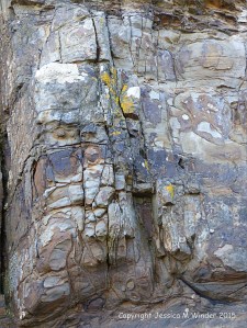 Natural rock textures and patterns