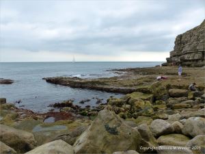 Boulders on the ledge at Winspit in Dorset where the worm tube fossils are found.