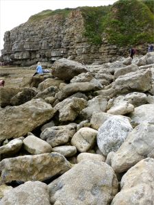 Boulders on the ledge at Winspit in Dorset where the worm tube fossils are found.