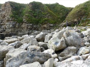 Boulders on the ledge at Winspit in Dorset where the worm tube fossils are found.