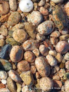 Colourful and patterned pebbles of igneous rocks