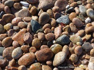 Colourful and patterned pebbles of igneous rocks