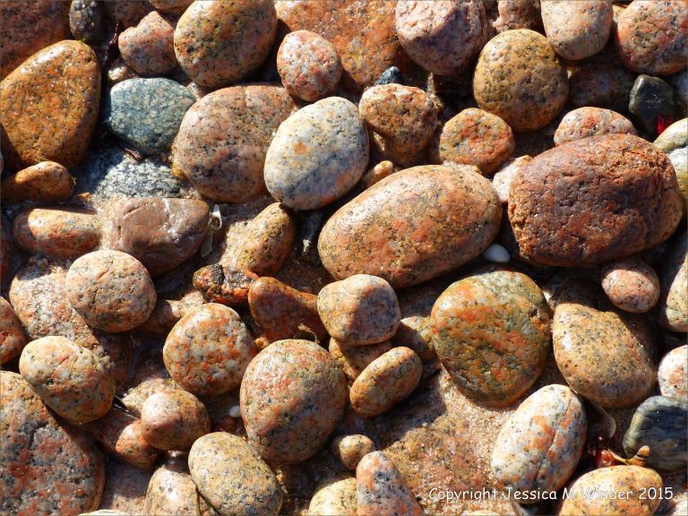 Colourful and patterned pebbles of igneous rocks
