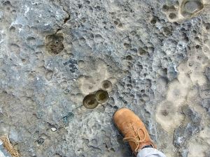 Pit maks caused by dissolution of limestone by acid rain at Doolin