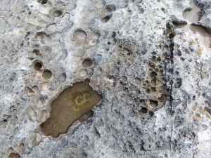 Rock texture in limestone at Doolin