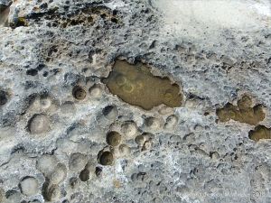 Rock texture in limestone at Doolin